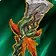 Pikenstab von Aln'hara
